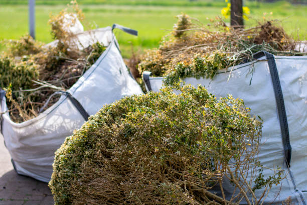 Best Dumpster Rental Services  in Clinton, WI
