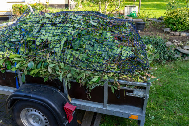 Best Moving and Downsizing Cleanouts  in Clinton, WI